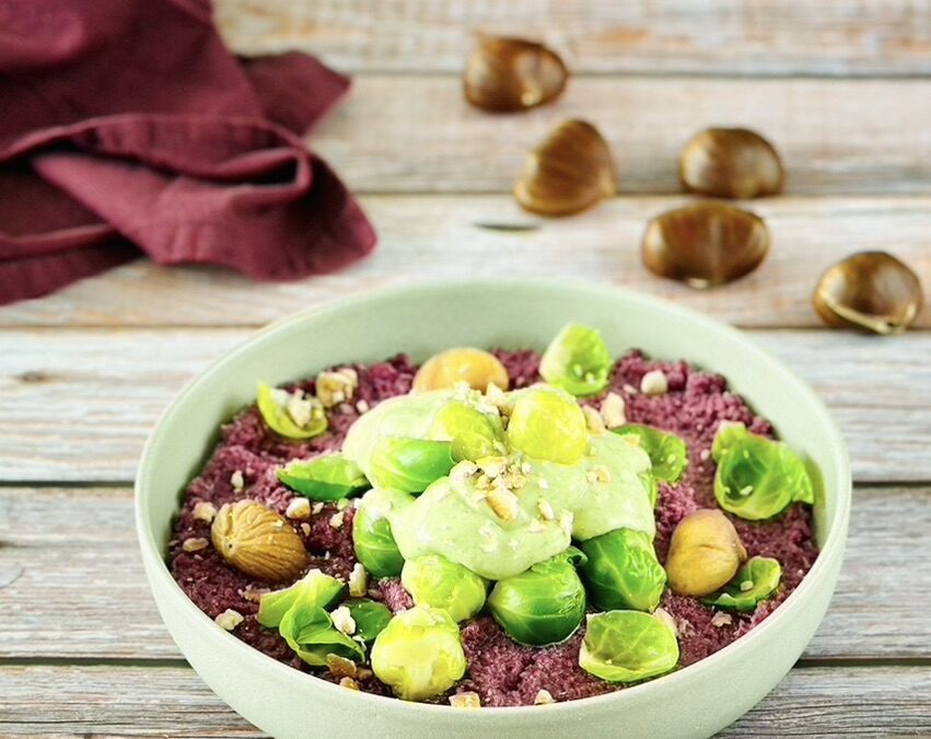 Rosenkohl auf Rotkraut Lebkuchen Stampf mit Maronen Petersilien Pesto