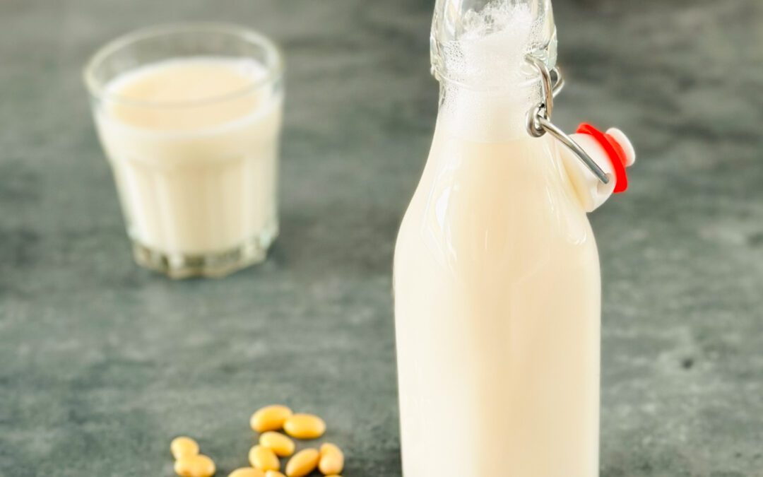DIY Sojadrink