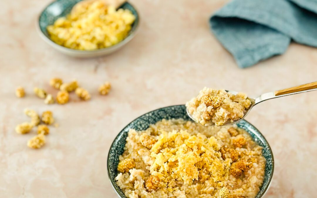 Maulbeeren Porridge mit Okara
