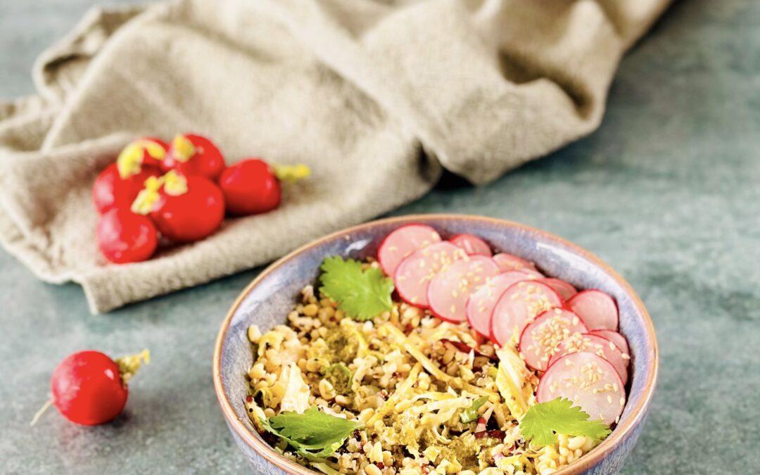 Bunter Quinoa Linsen Salat mit Koriander Dressing